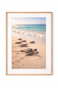 Baby Sea Turtles Coastal art | Ocean Nursery Art (Digital Download)